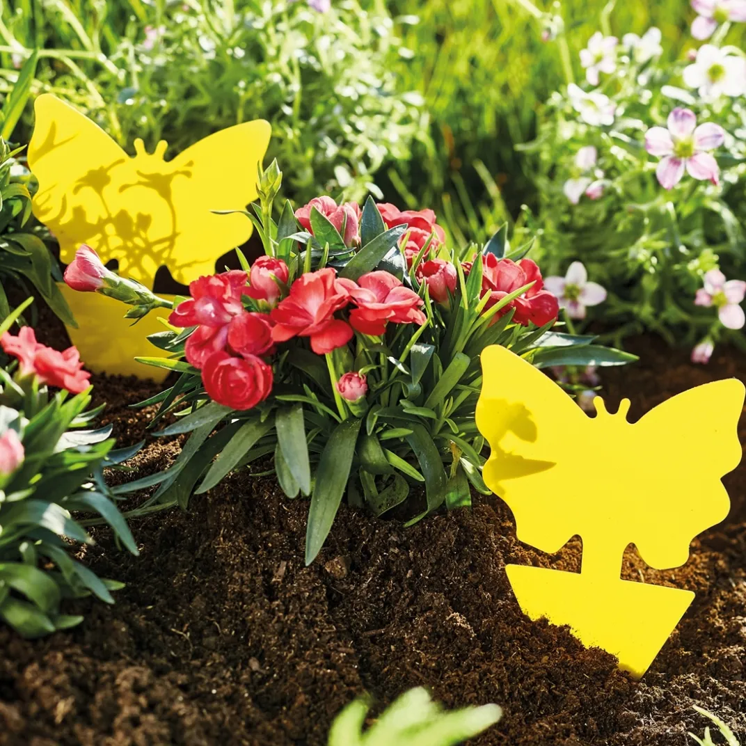 Anti-Nuisibles Et Anti-Insectes-Tempsl 24 attrapes moucherons et insectes