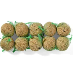 Accessoires Animaux-Tempsl 10 boules de graines