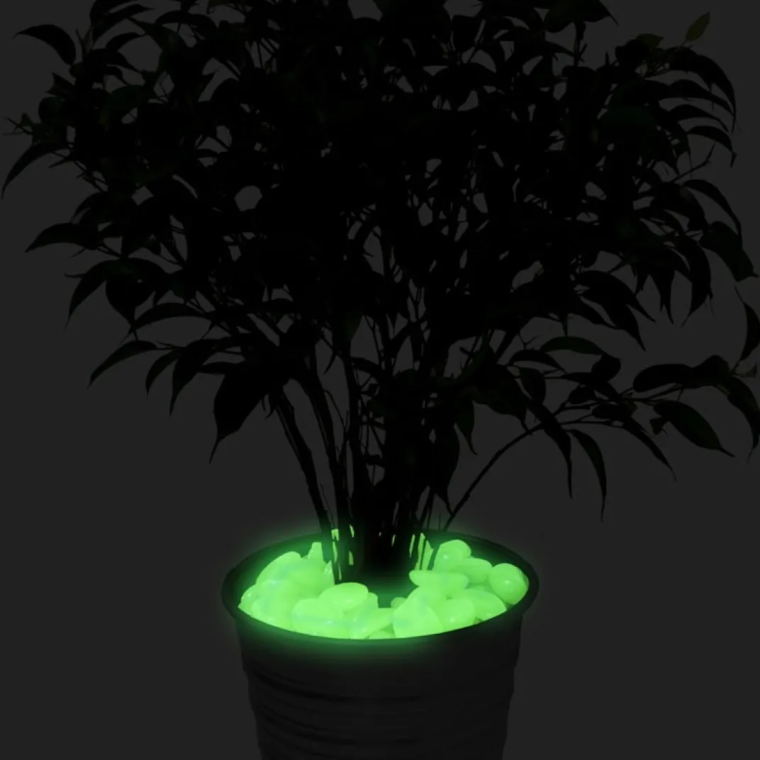 Décorations Jardin Et Extérieur-Tempsl 100 pierres phosphorescentes : «vertes» ou «bleues»