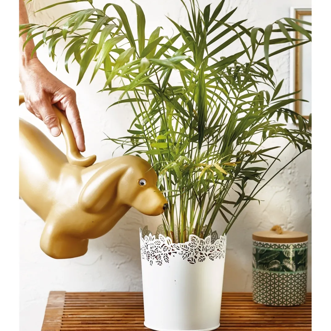 Accessoires Et Outils Jardin-Tempsl Arrosoir chat ou chien