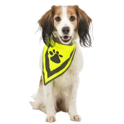 Accessoires Animaux-Tempsl Bandana sécurité pour chien taille S/M