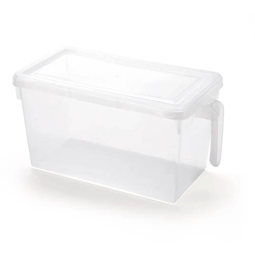 Fraîcheur / Conservation|Organisation Et Entretien-Tempsl Boîte de rangement réfrigérateur ou lot de 2