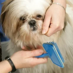 Accessoires Animaux-Tempsl Brosse auto-nettoyante