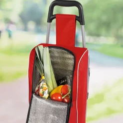 Organisation Et Entretien-Tempsl Chariot de courses