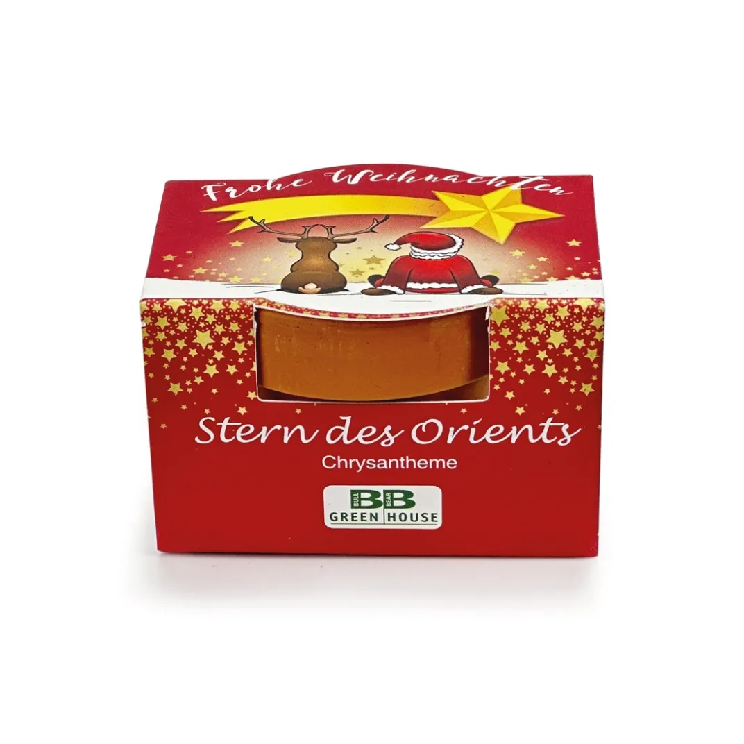 Décorations-Tempsl Chrysanthème en pot