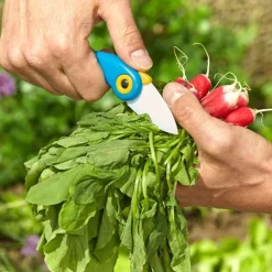 Découpe-Tempsl Couteau céramique bleu