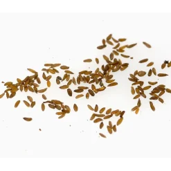 Décorations-Tempsl Edelweiss