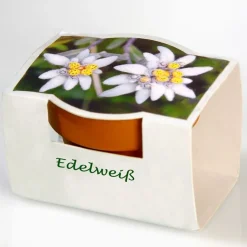 Décorations-Tempsl Edelweiss