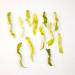 Découpe|Ustensiles De Cuisine Malins-Tempsl Eminceur salade