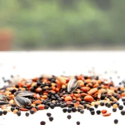 Accessoires Animaux-Tempsl Graines pour oiseaux (1 kg)