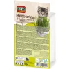 Accessoires Animaux-Tempsl Herbe fraîche pour chat