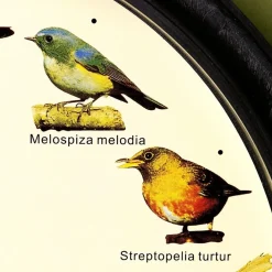 Décorations-Tempsl Horloge musicale oiseaux