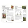 Accessoires Et Outils Jardin-Tempsl Livre "Taillez vos arbres et arbustes"