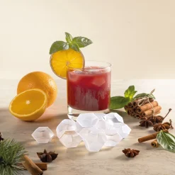 Fraîcheur / Conservation-Tempsl Lot de 16 glaçons iceberg