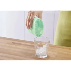 Fraîcheur / Conservation-Tempsl Lot de 2 moules à glaçons