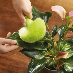 Balais, Aspirateurs, Éponges Et Brosses-Tempsl Lot de 2 pompons anti-poussière