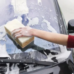 Accessoires Voiture-Tempsl Lot de 2 éponges enlève moustiques