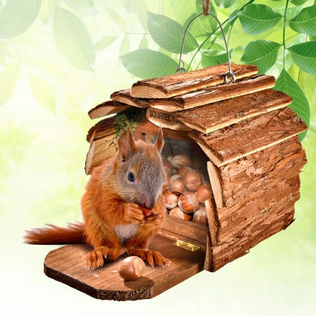 Accessoires Animaux-Tempsl Mangeoire écureuil