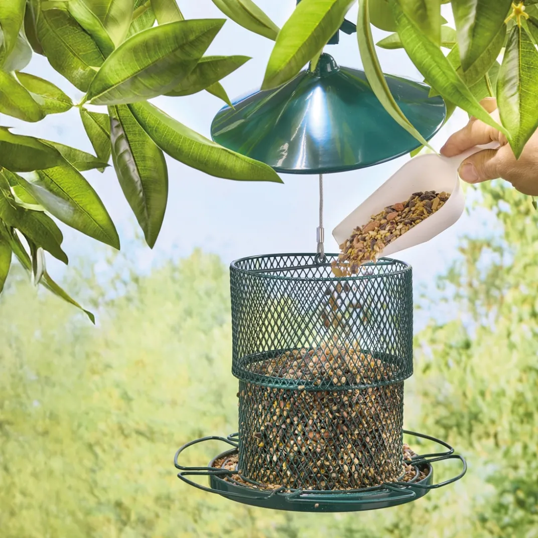 Accessoires Animaux-Tempsl Mangeoire oiseaux