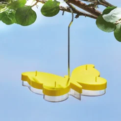 Accessoires Animaux-Tempsl Mangeoire pour papillons