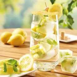 Fraîcheur / Conservation-Tempsl Moules à glaçons