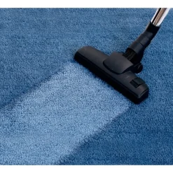 Produits D'Entretien-Tempsl Nettoyant tapis 500 ml