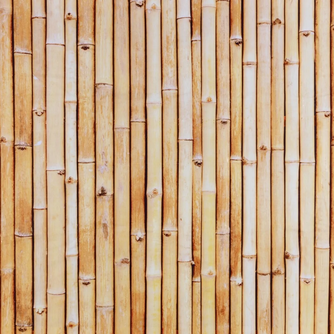 Décorations Jardin Et Extérieur-Tempsl Pare-vue de balcon