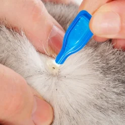 Accessoires Animaux-Tempsl Pipettes stop parasites