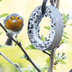 Accessoires Animaux-Tempsl Plateau plaisirs pour oiseaux