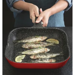 Cuisson Et Accessoires-Tempsl Poêle grill fonte d'aluminium Pradel France ®