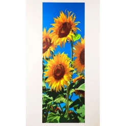Décorations-Tempsl Poster de porte tournesols