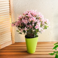 Accessoires Et Outils Jardin-Tempsl Pot de fleurs