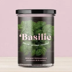 Ustensiles De Cuisine Malins-Tempsl Potager : diverses variétés