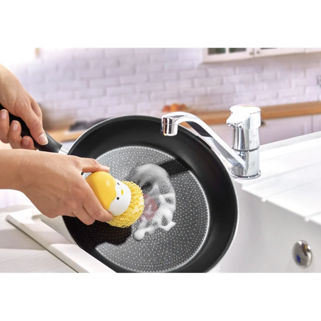 Organisation Et Entretien-Tempsl Poussin pique éponges