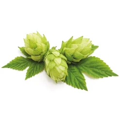 Accessoires Animaux-Tempsl Pâte orale Vermi'délice chat/chien