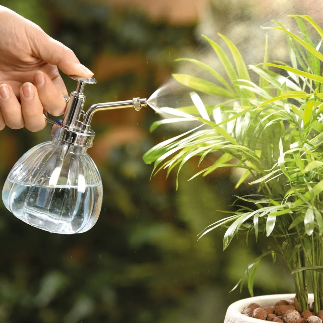 Accessoires Et Outils Jardin-Tempsl Pulvérisateur vintage