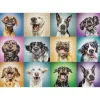 Loisirs Créatifs-Tempsl Puzzle 1000 pièces Portraits amusants chiens