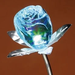 Décorations-Tempsl Rose changement de couleur