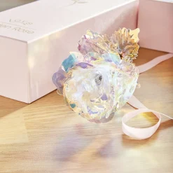 Décorations-Tempsl Rose dans son coffret