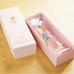 Décorations-Tempsl Rose dans son coffret