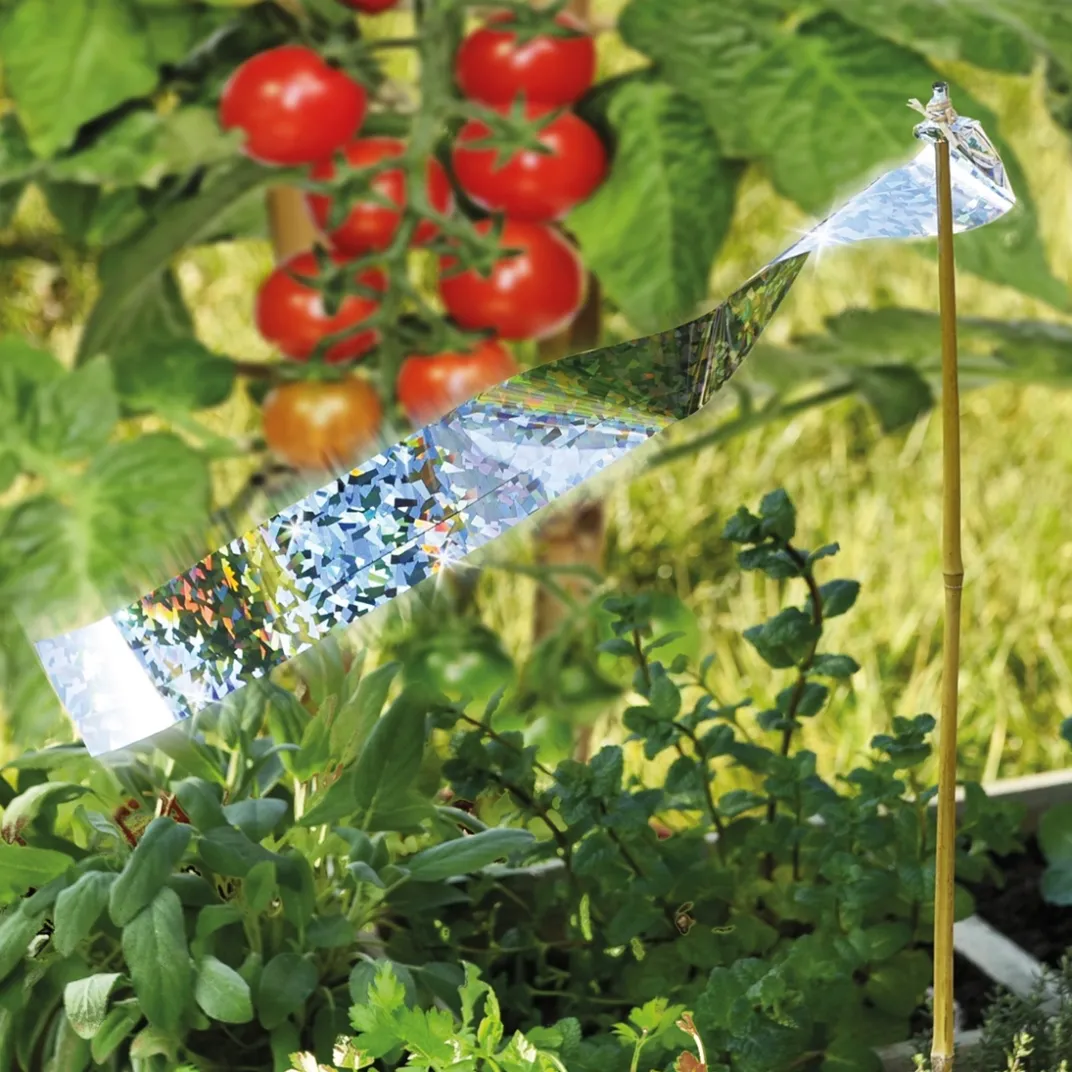 Anti-Nuisibles Et Anti-Insectes-Tempsl Ruban effaroucheur