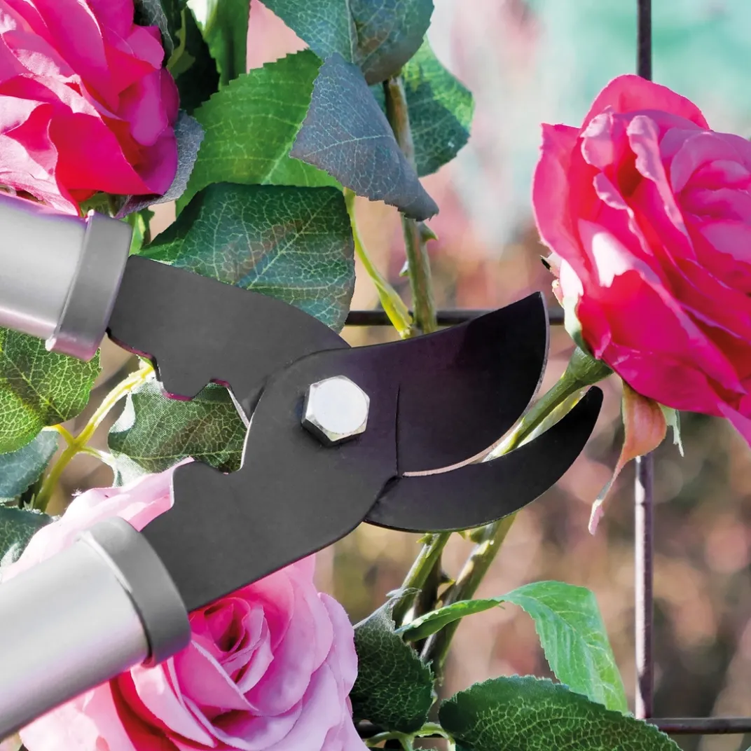 Accessoires Et Outils Jardin-Tempsl Sécateur