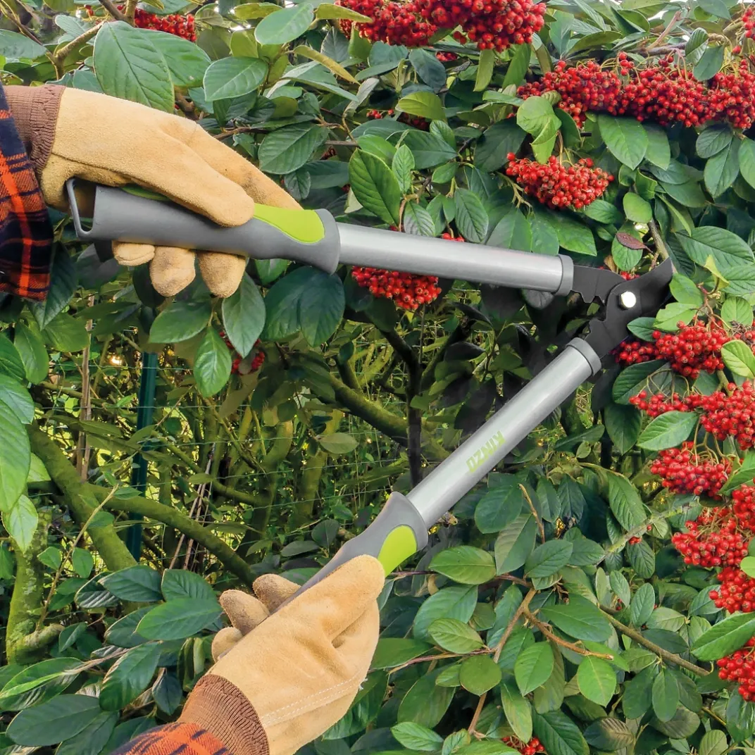 Accessoires Et Outils Jardin-Tempsl Sécateur