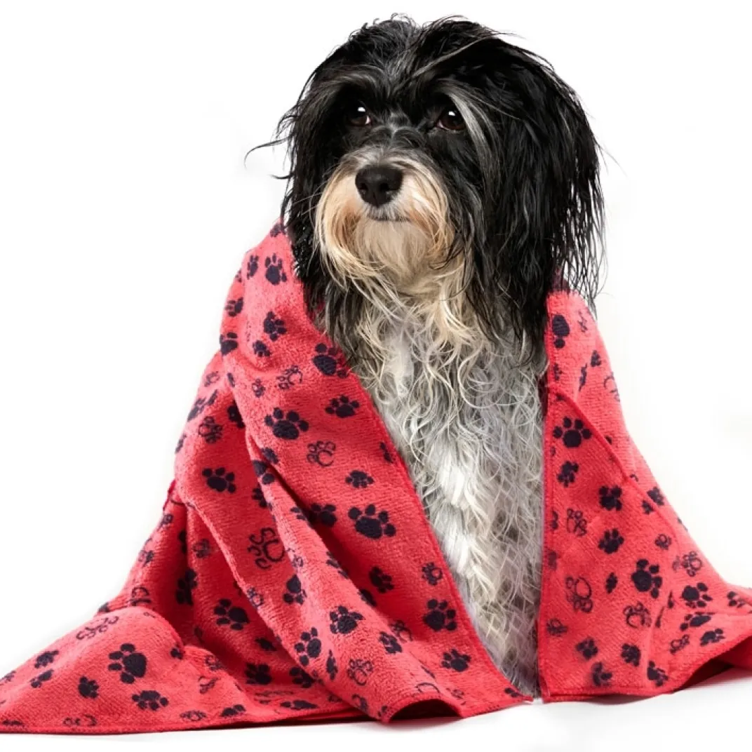 Accessoires Animaux-Tempsl Serviette microfibre : divers coloris