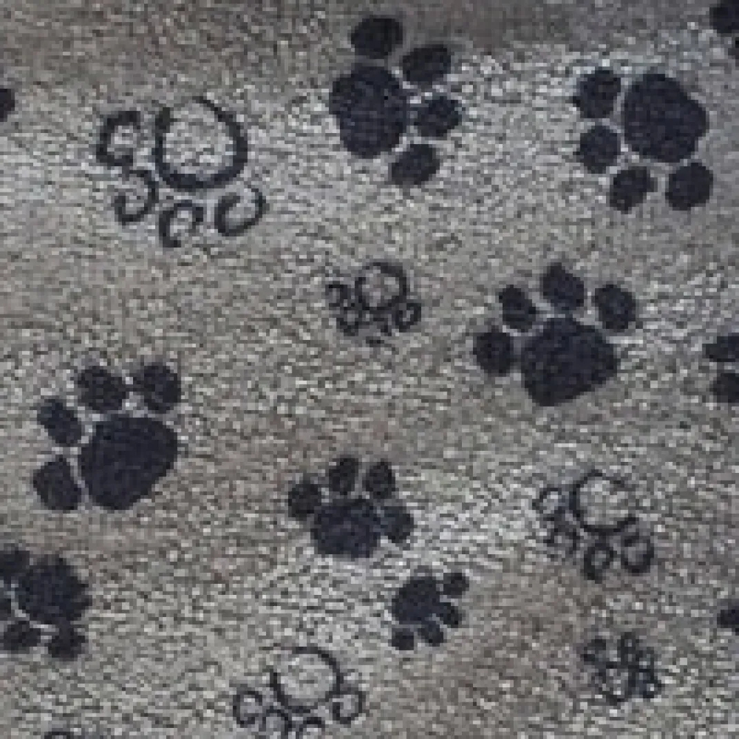 Accessoires Animaux-Tempsl Serviette microfibre : divers coloris