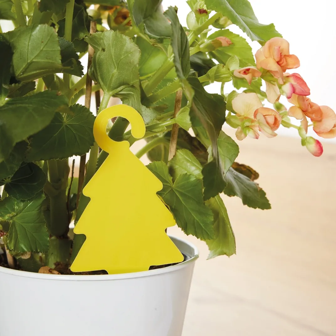 Anti-Nuisibles Et Anti-Insectes-Tempsl Stop aux moucherons !