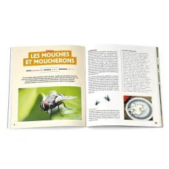 Anti-Nuisibles Et Anti-Insectes-Tempsl Stratégie anti-bestioles à la maison