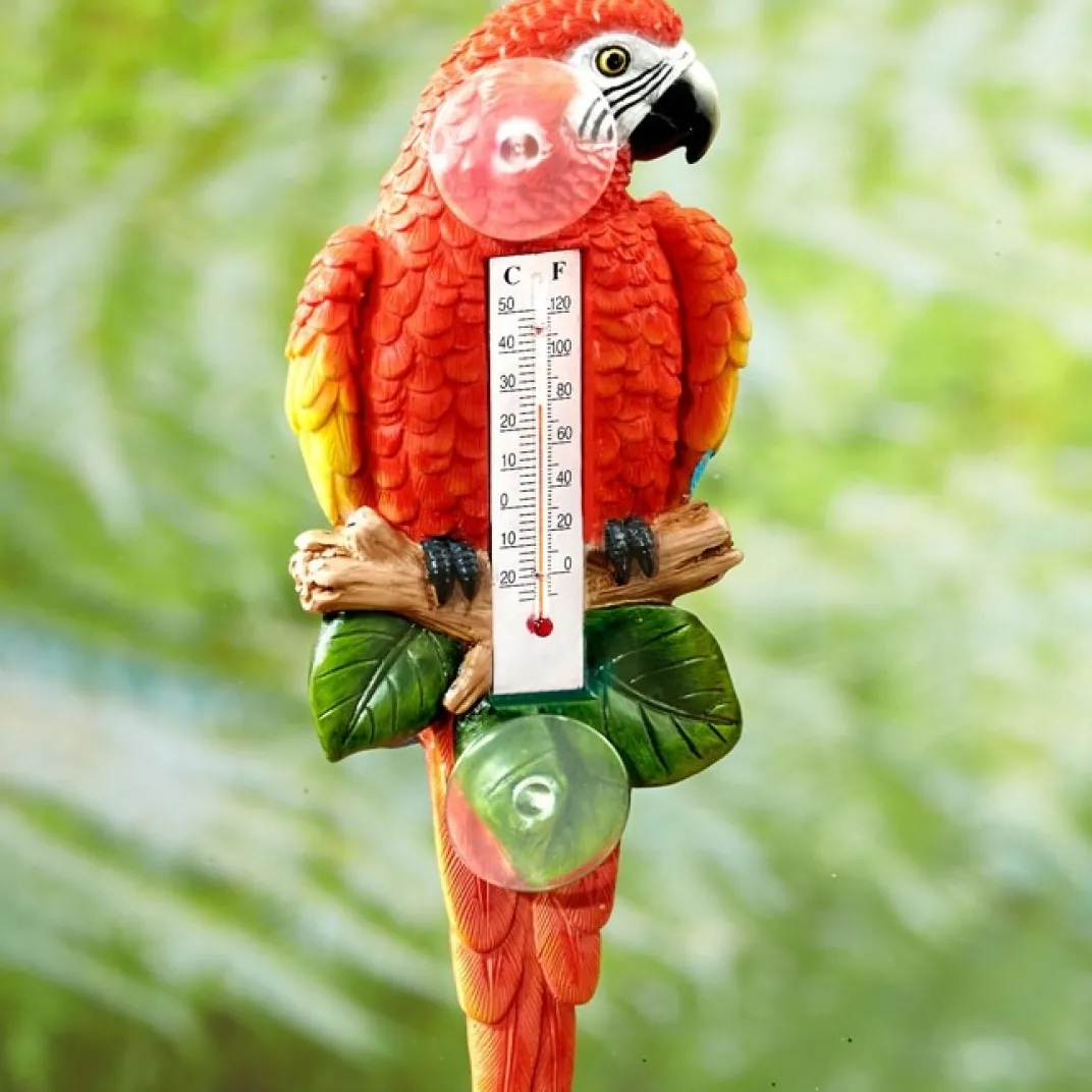 Décorations-Tempsl Thermomètre perroquet